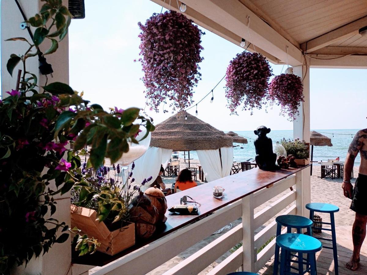 B&B Purple Italy Fiumicino Exterior foto